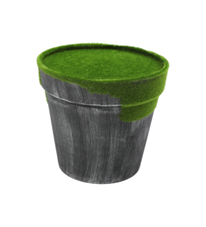 Flower pot ყვავილის ქოთანი