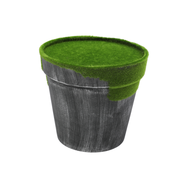 Flower pot ყვავილის ქოთანი