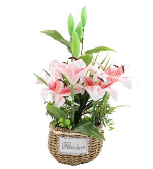 ყვავილები ქოთანში