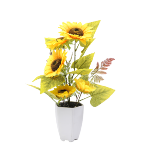 ყვავილები ქოთანში