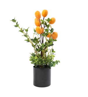 ხელოვნური ხილი