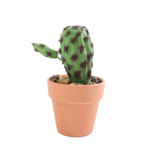 ხელოვნური ყვავილი