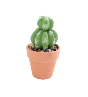 ყვავილები ქოთანში