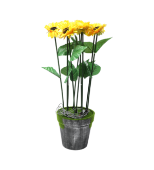 ყვავილი სანათი