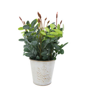 ყვავილები ქოთანში