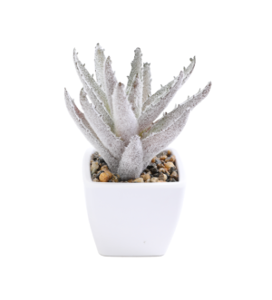 ყვავილები ქოთანში